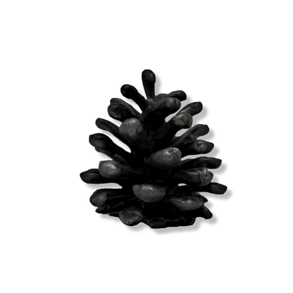 Lodgepole Pinecone Finial-M