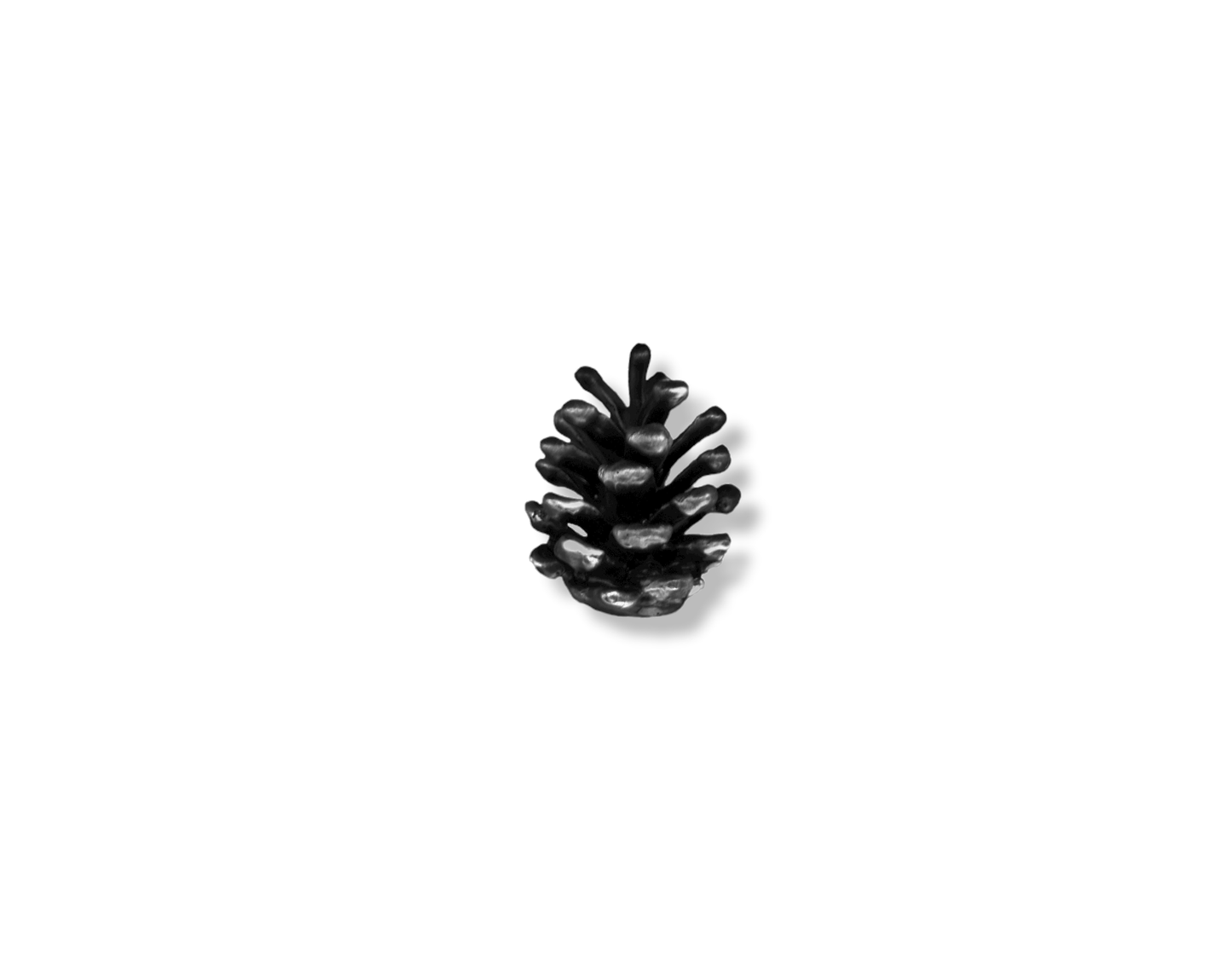 Lodgepole Pinecone Vertical Knob-Small
