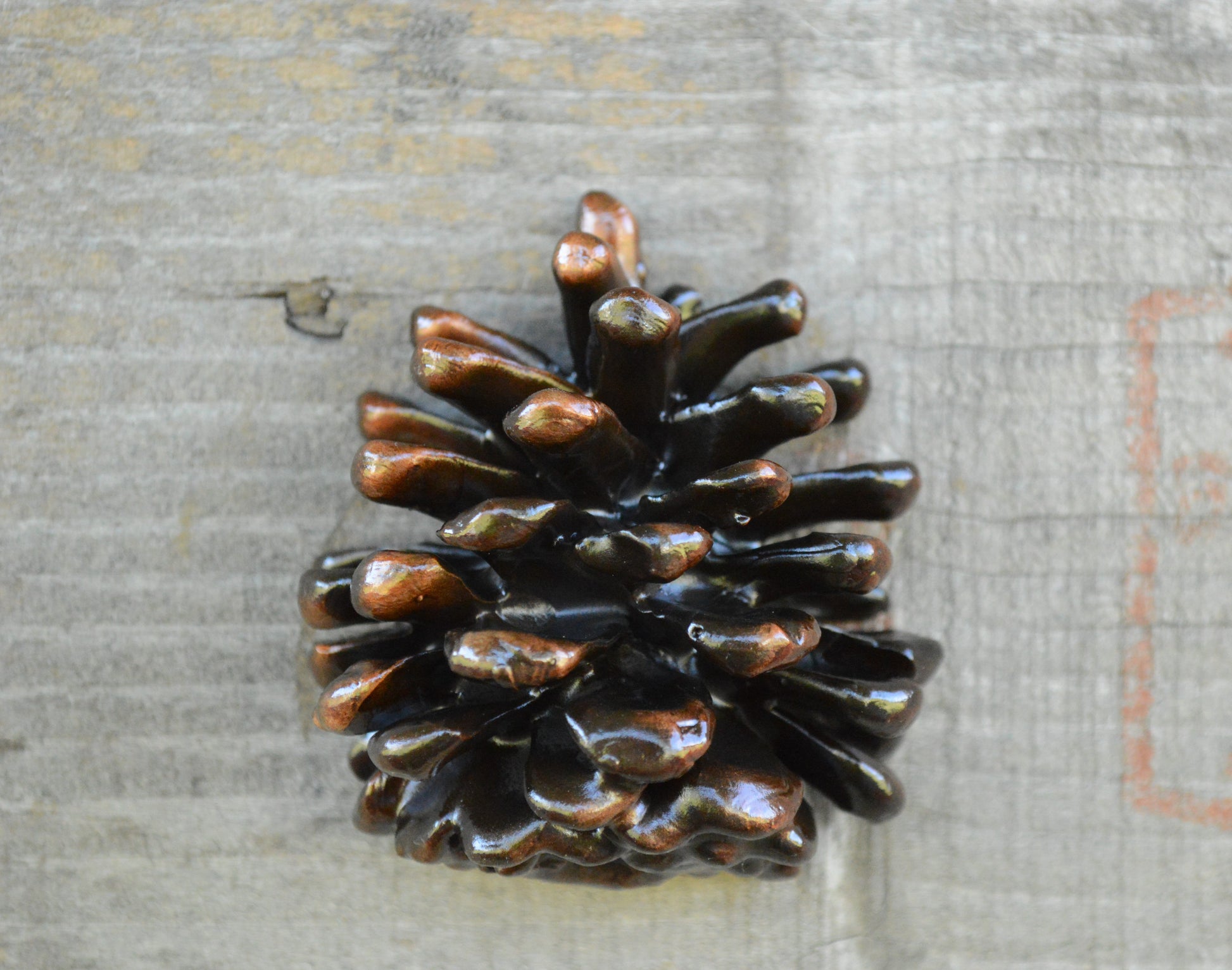 Pine cone cabinet knob, solid bronze