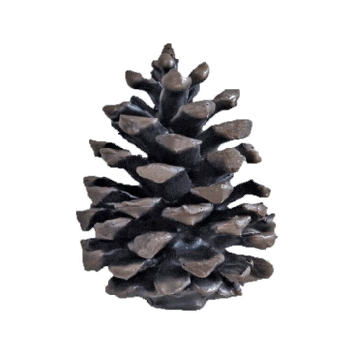 Ponderosa Pine Cone Knob (Vertical, Medium) - Basic | Timber Bronze | Oregon
