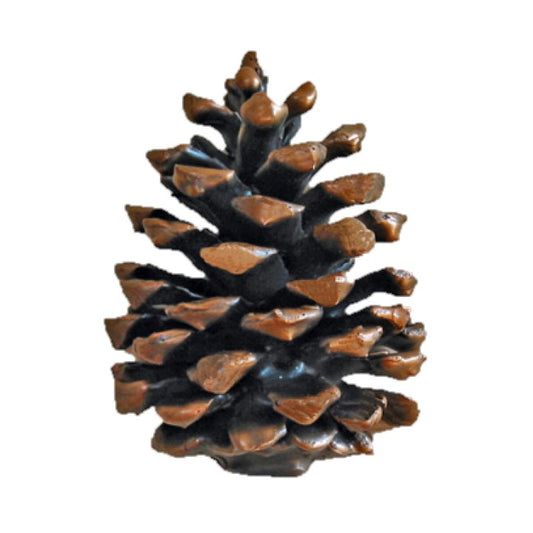 Ponderosa Pine Cone Knob (vertical, medium) | Timber Bronze | Oregon