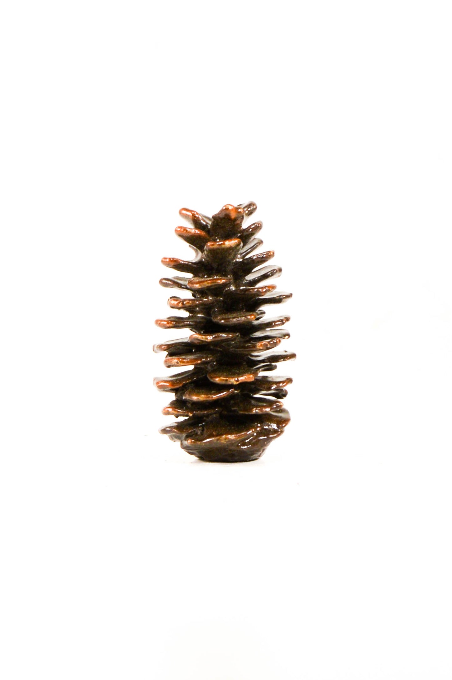 Spruce cone bronze cabinet hardware with patina