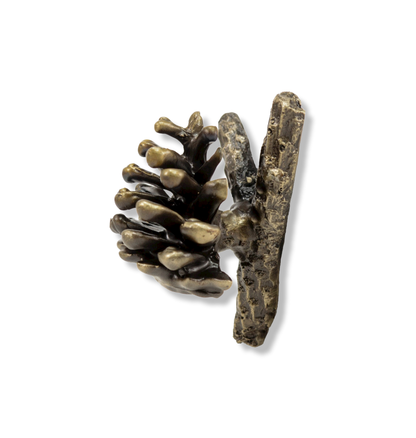 Lodgepole Pinecone Vertical Y Branch Pull