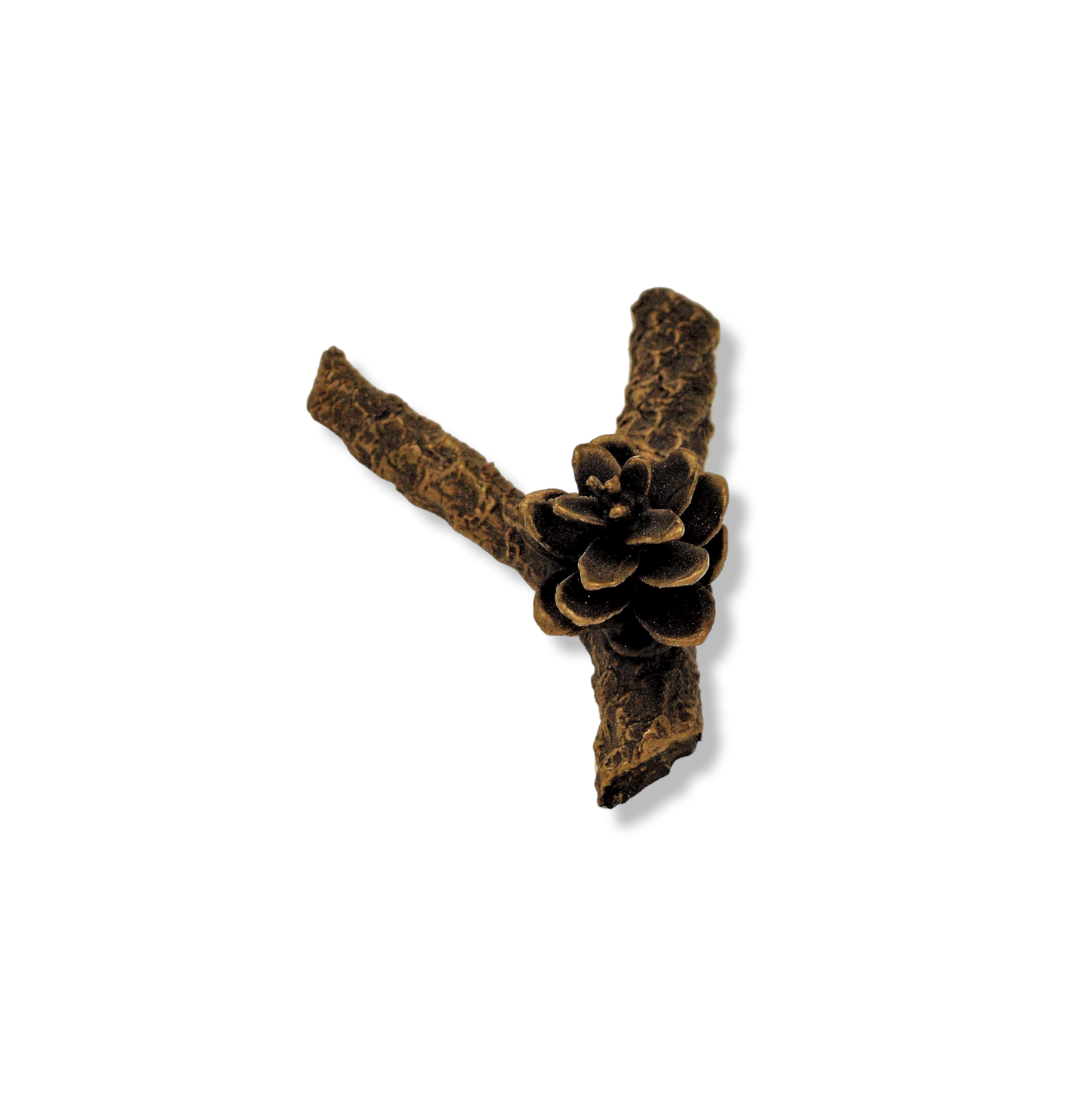 Western Hemlock Cone Knob-Y Branch