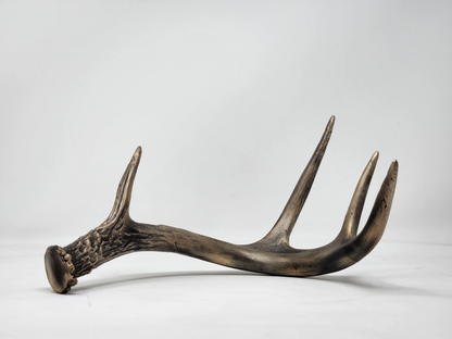 Bronze White-Tailed Deer Antler Sculpture