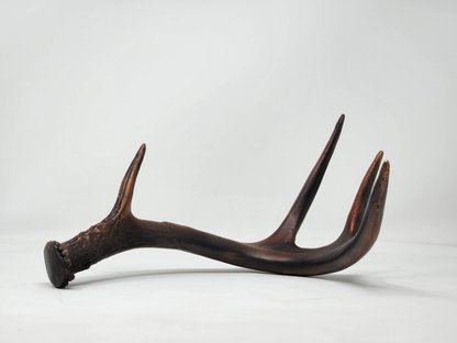 Bronze White-Tailed Deer Antler Sculpture